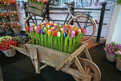 Souvenirbeurs 2019 groot succes